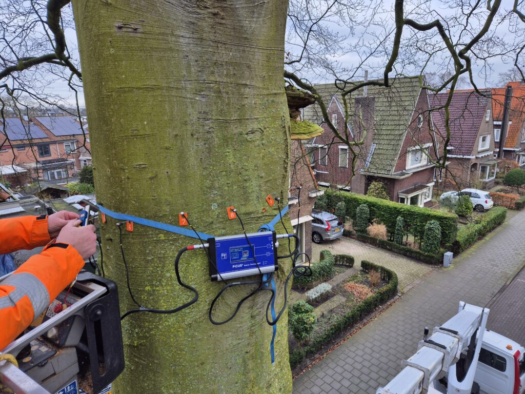 Nader Boomtechnisch Onderzoek