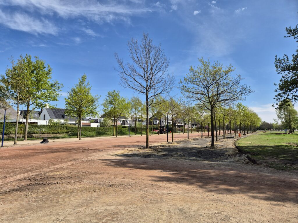 Planvorming en projectinrichting