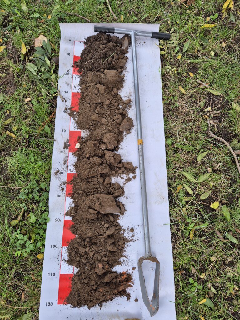 Groeiplaatsonderzoek