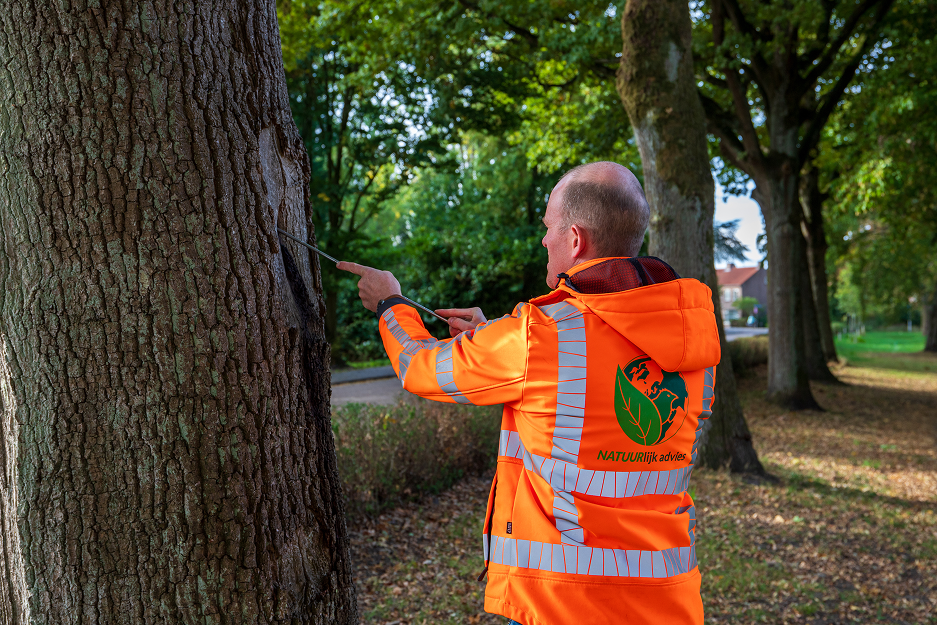 Nader Boomtechnisch Onderzoek
