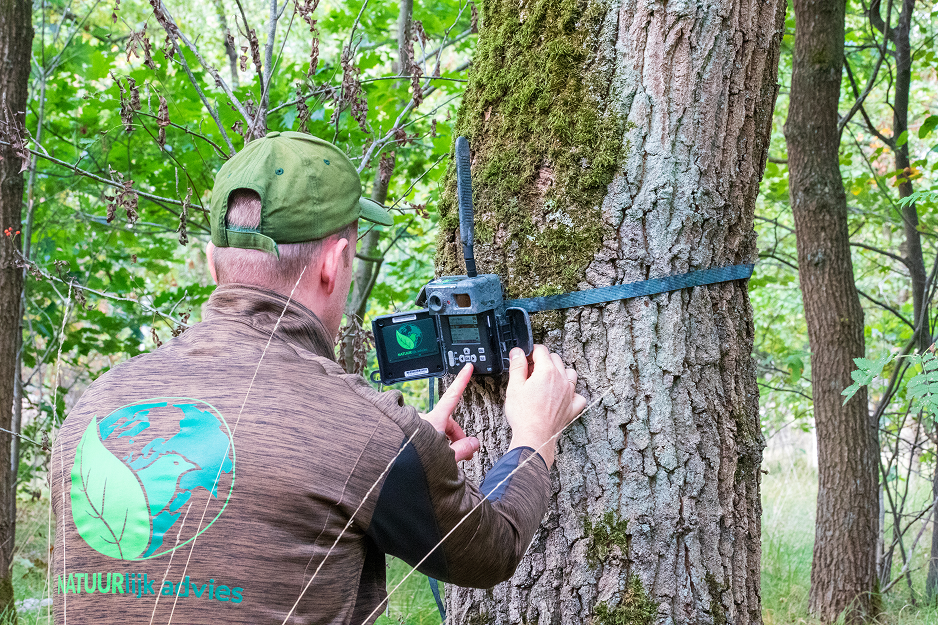 Specifiek soortenonderzoek